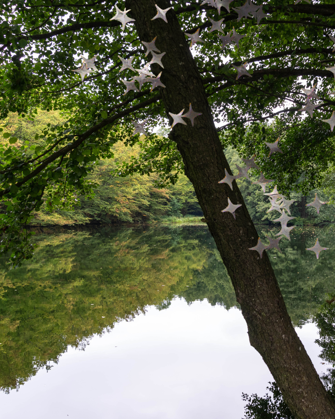 RUINE/D FESTIVAL 2026